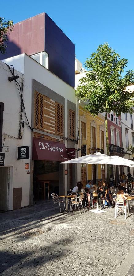 Lofts Msh Canarias Las Palmas de Gran Canaria Dış mekan fotoğraf